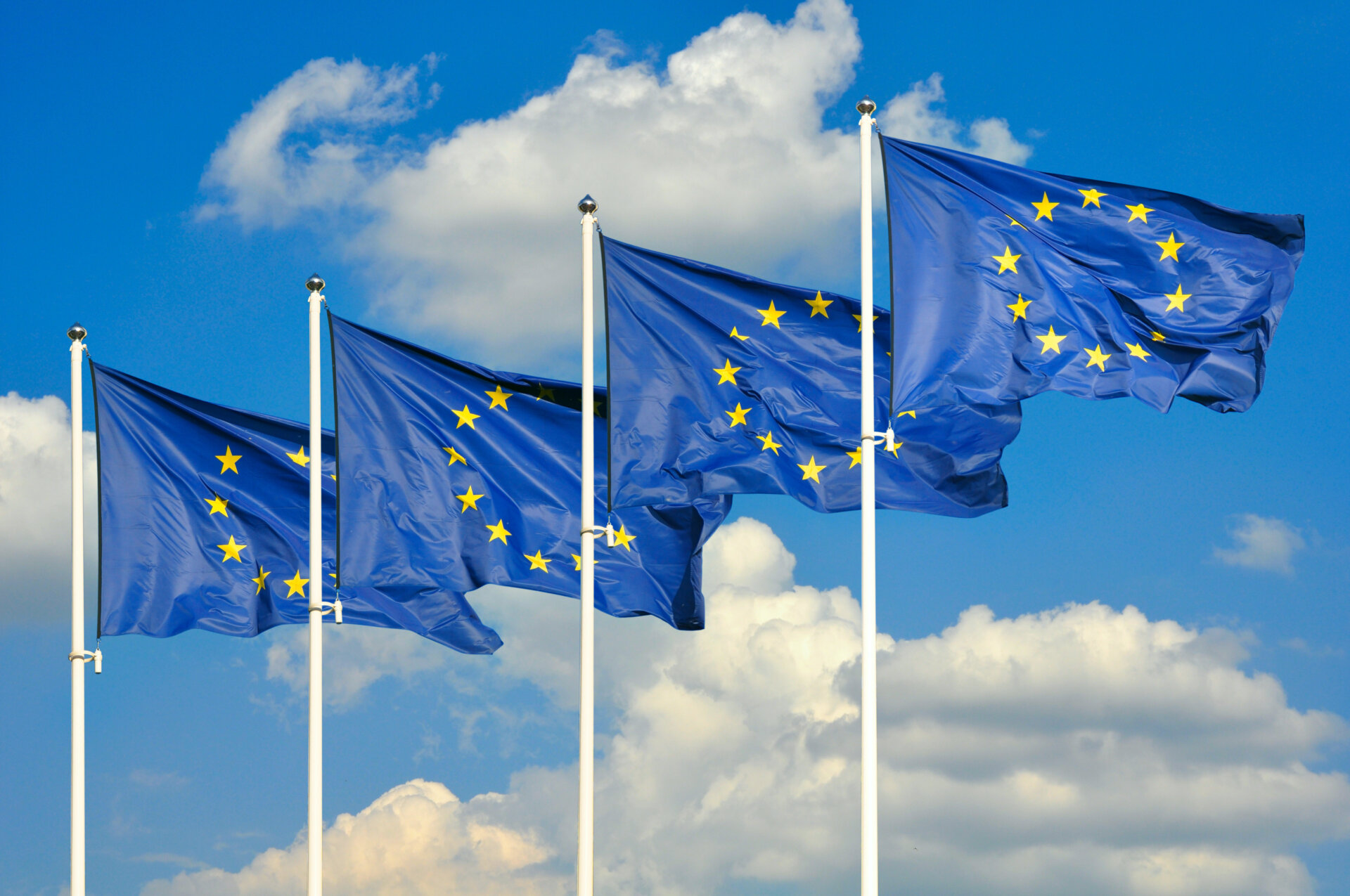 European Union flags