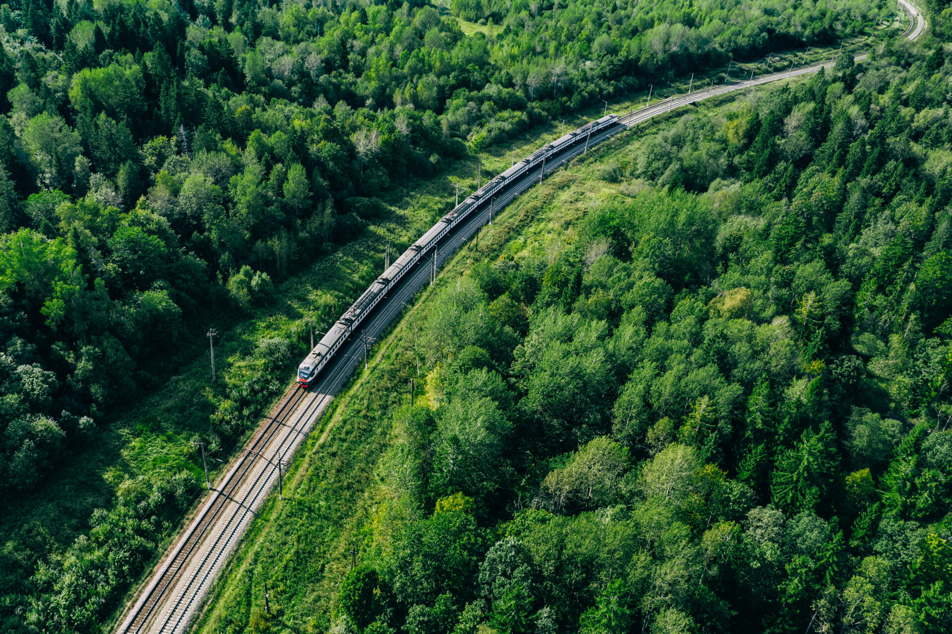 Aerial drone view of train in beautiful green summer forest. Long commuter train moving to railway station