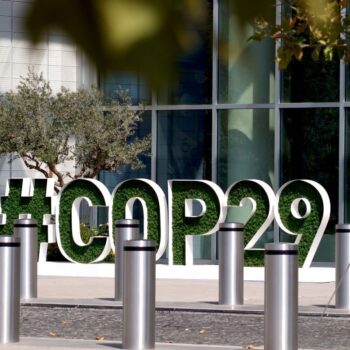 COP29