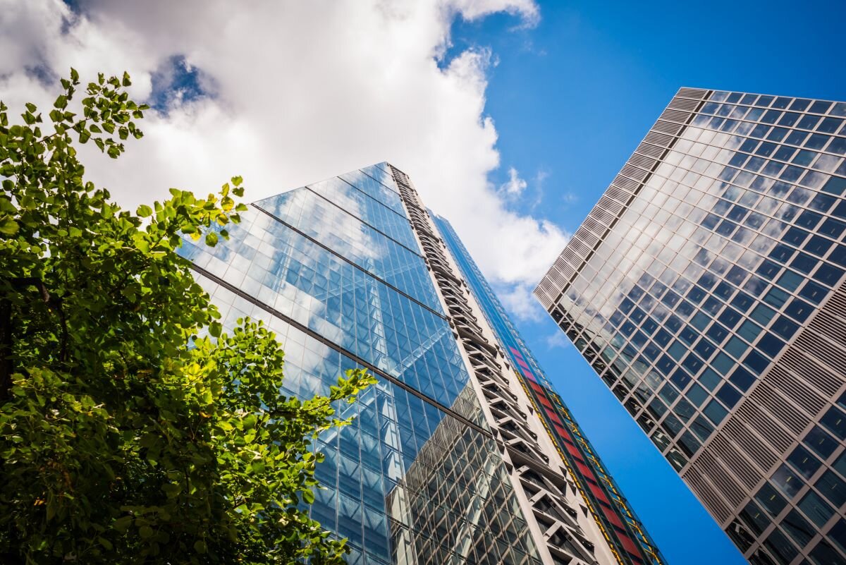 Financial glass buildings in the City of London with a green tree on the left